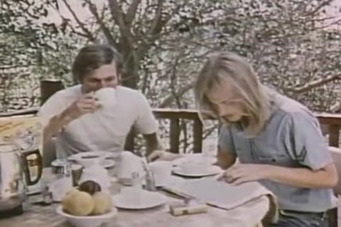 The Golden Age Of homosexual Porn Classified Caper - Scene Three