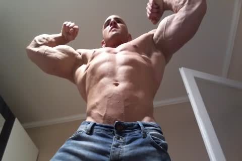 Santo Muscle