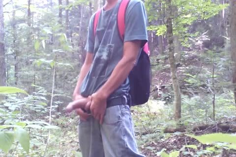 Forest And Nature Are My favorite Places. two