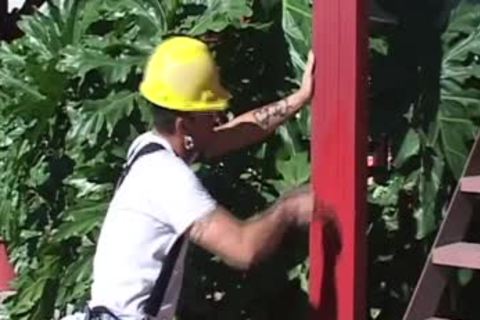 majority good Of Marcelo Masko Part 4