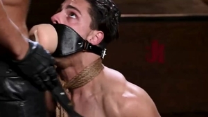 Muscled hunk bareback rimming