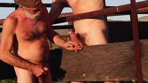 COUNTRY KINKS