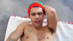 Reindeer in the Red Room