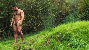 Men: Prehistoric Prick: A Forest Frenzy